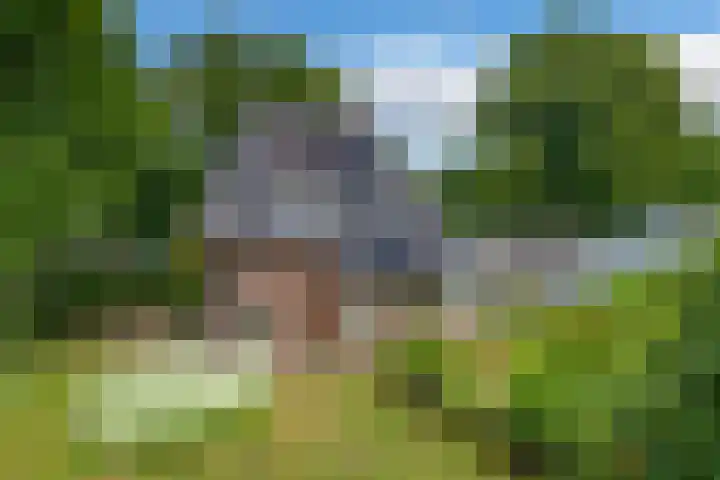 Apeldoornseweg 14 Hoenderloo thumbnail 25