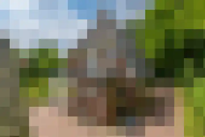 Apeldoornseweg 14 Hoenderloo thumbnail 27