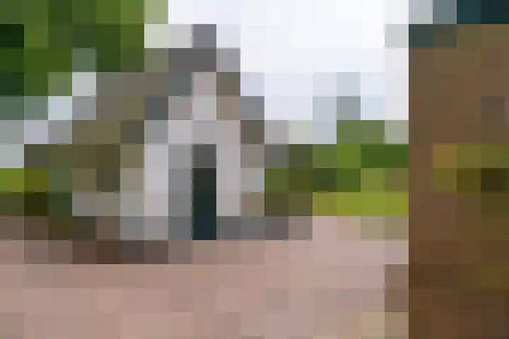 Apeldoornseweg 14 Hoenderloo thumbnail 29