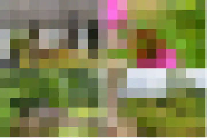 Apeldoornseweg 14 Hoenderloo thumbnail 30