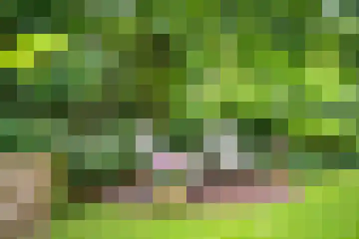 Apeldoornseweg 14 Hoenderloo thumbnail 32