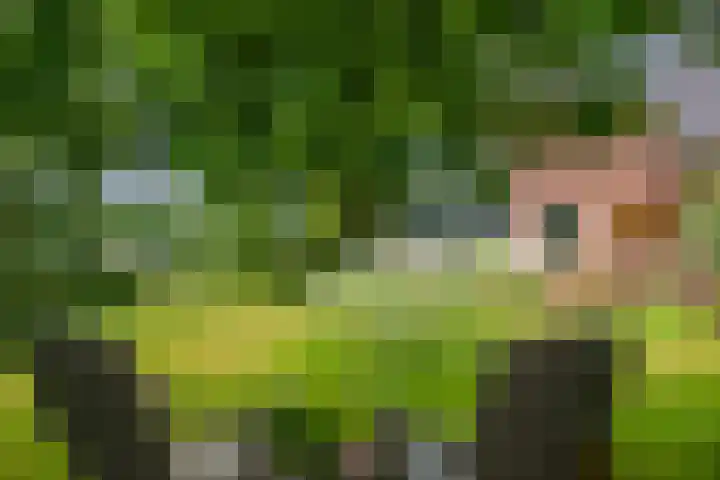 Apeldoornseweg 14 Hoenderloo thumbnail 33