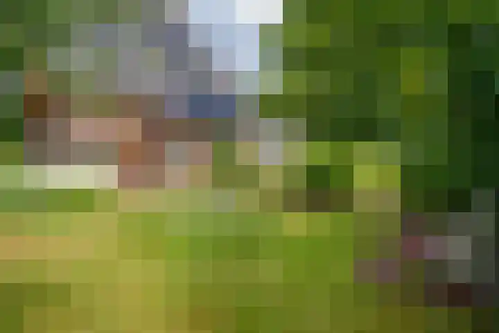 Apeldoornseweg 14 Hoenderloo thumbnail 34