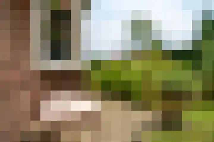 Apeldoornseweg 14 Hoenderloo thumbnail 35