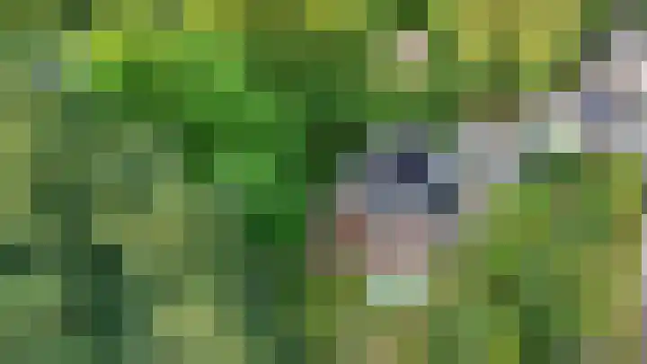 Apeldoornseweg 14 Hoenderloo thumbnail 37