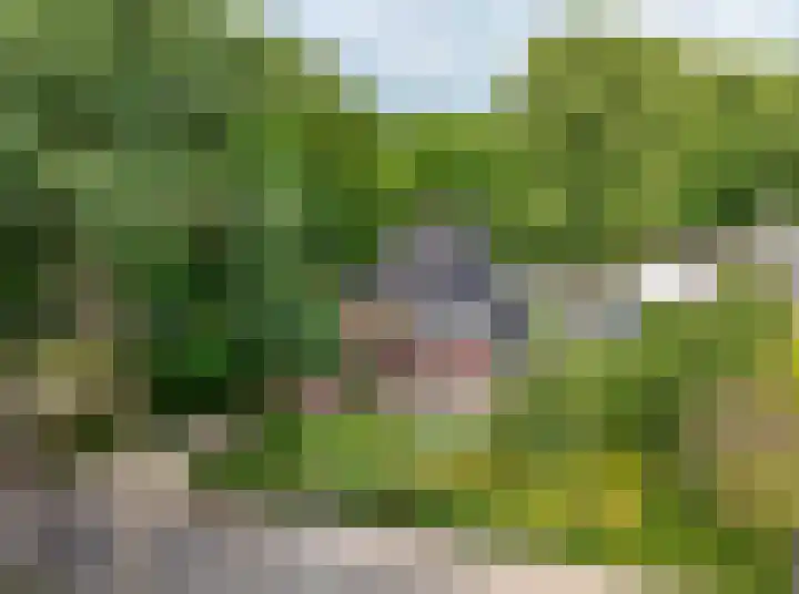 Apeldoornseweg 14 Hoenderloo thumbnail 38