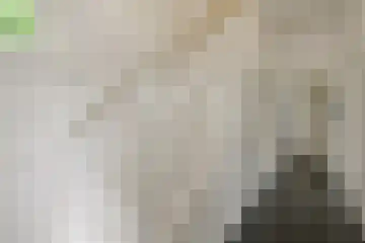 Apeldoornseweg 14 Hoenderloo thumbnail 5