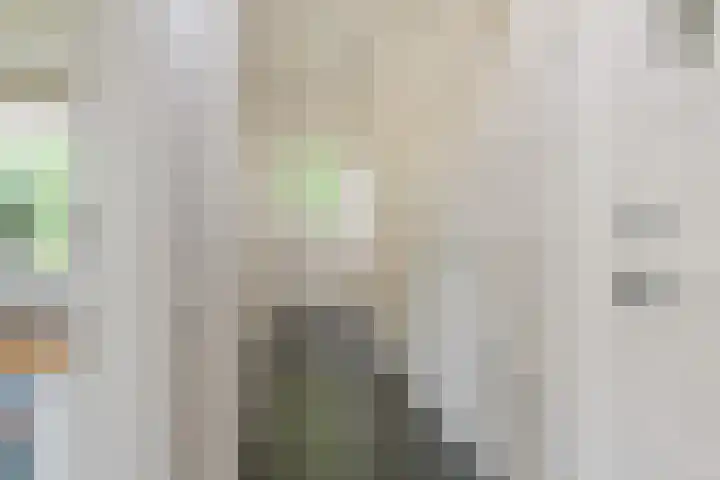 Apeldoornseweg 14 Hoenderloo thumbnail 6