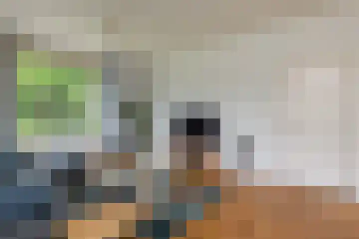 Apeldoornseweg 14 Hoenderloo thumbnail 8