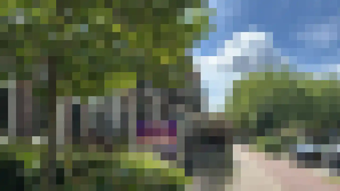 Apeldoornseweg 152 Arnhem thumbnail 5