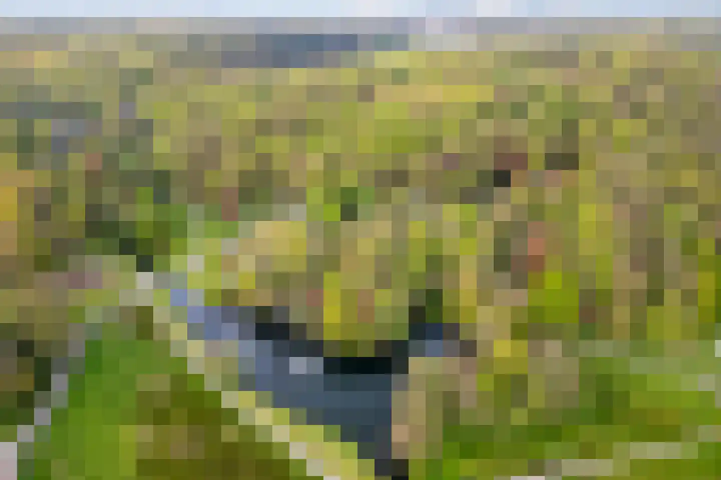 Apeldoornseweg 152 Arnhem thumbnail 55