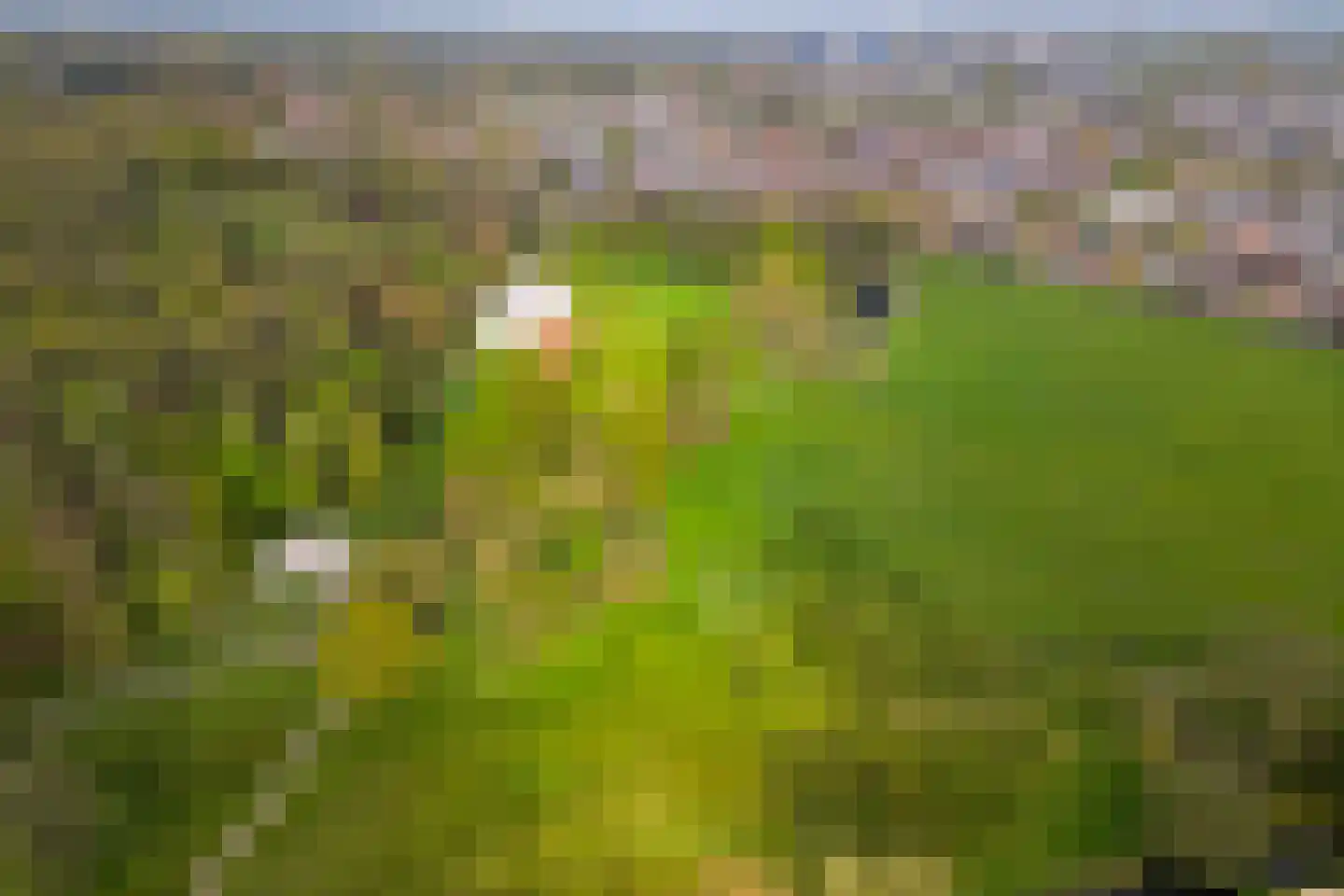 Apeldoornseweg 152 Arnhem thumbnail 57