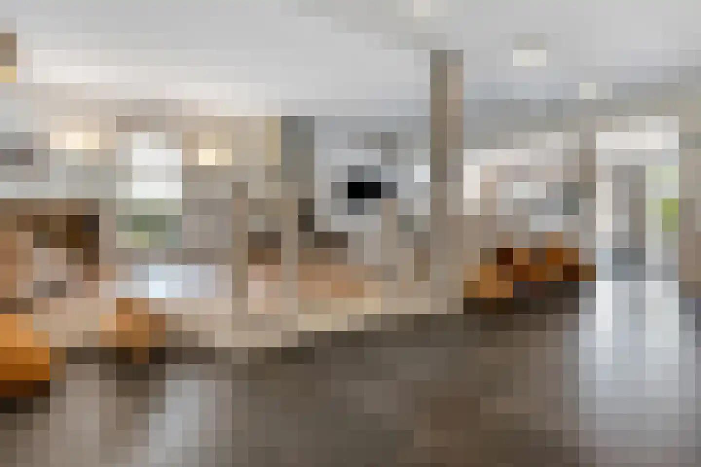 Apeldoornseweg 20 Hattem thumbnail 12