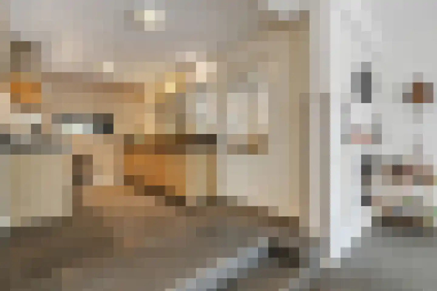 Apeldoornseweg 20 Hattem thumbnail 19
