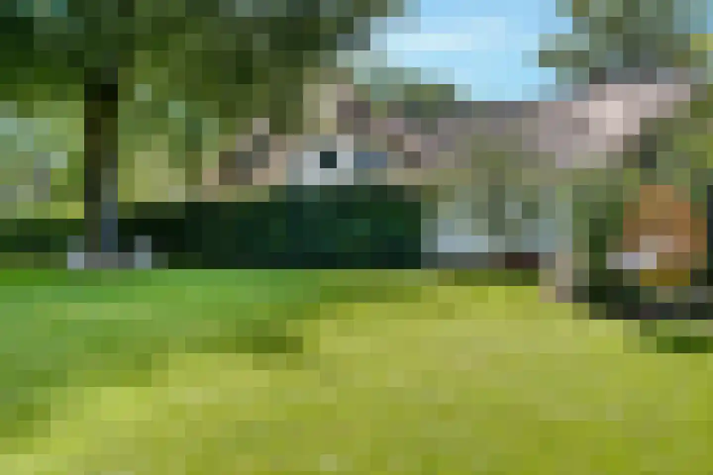 Apeldoornseweg 20 Hattem thumbnail 40