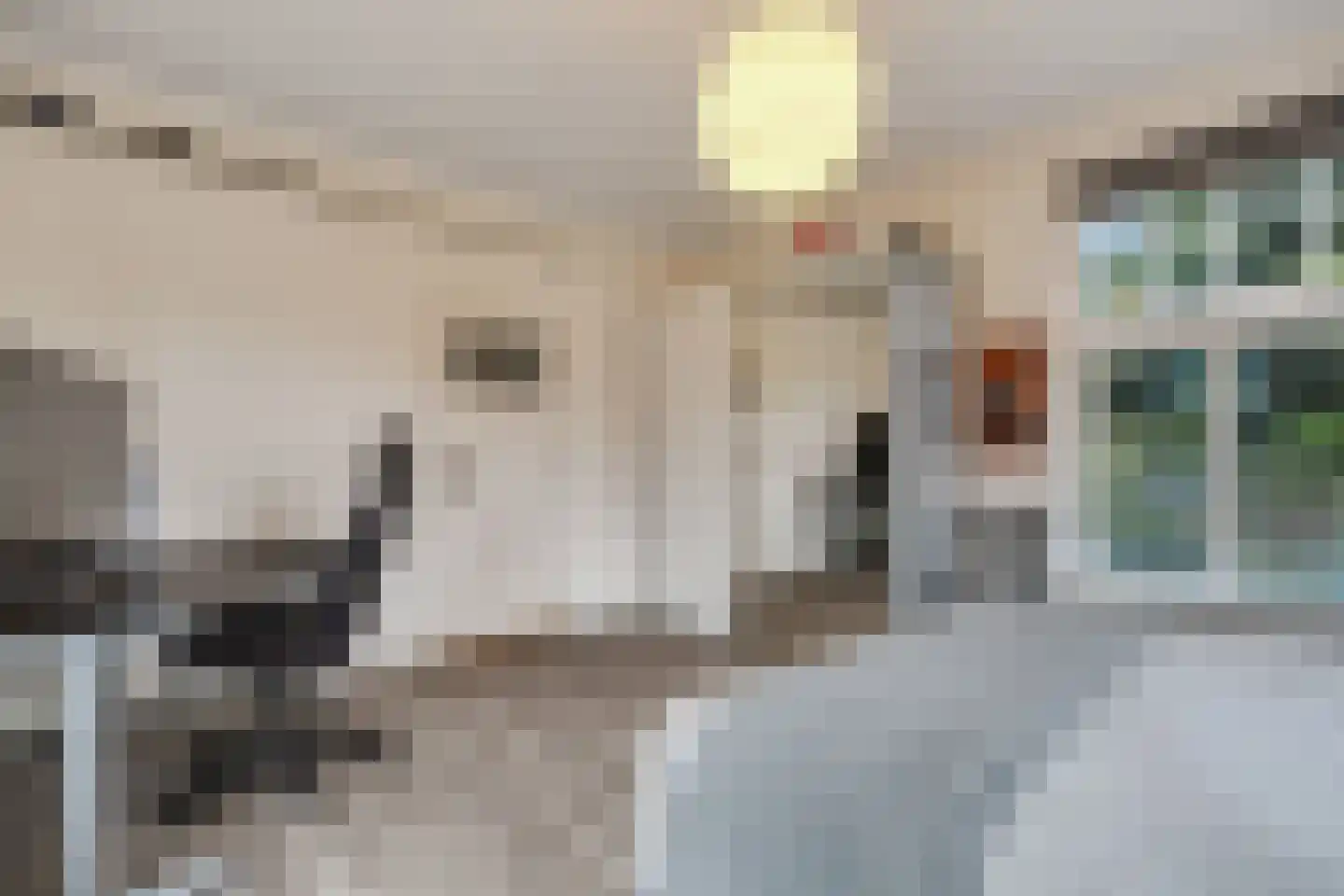 Apeldoornseweg 20 Hattem thumbnail 42