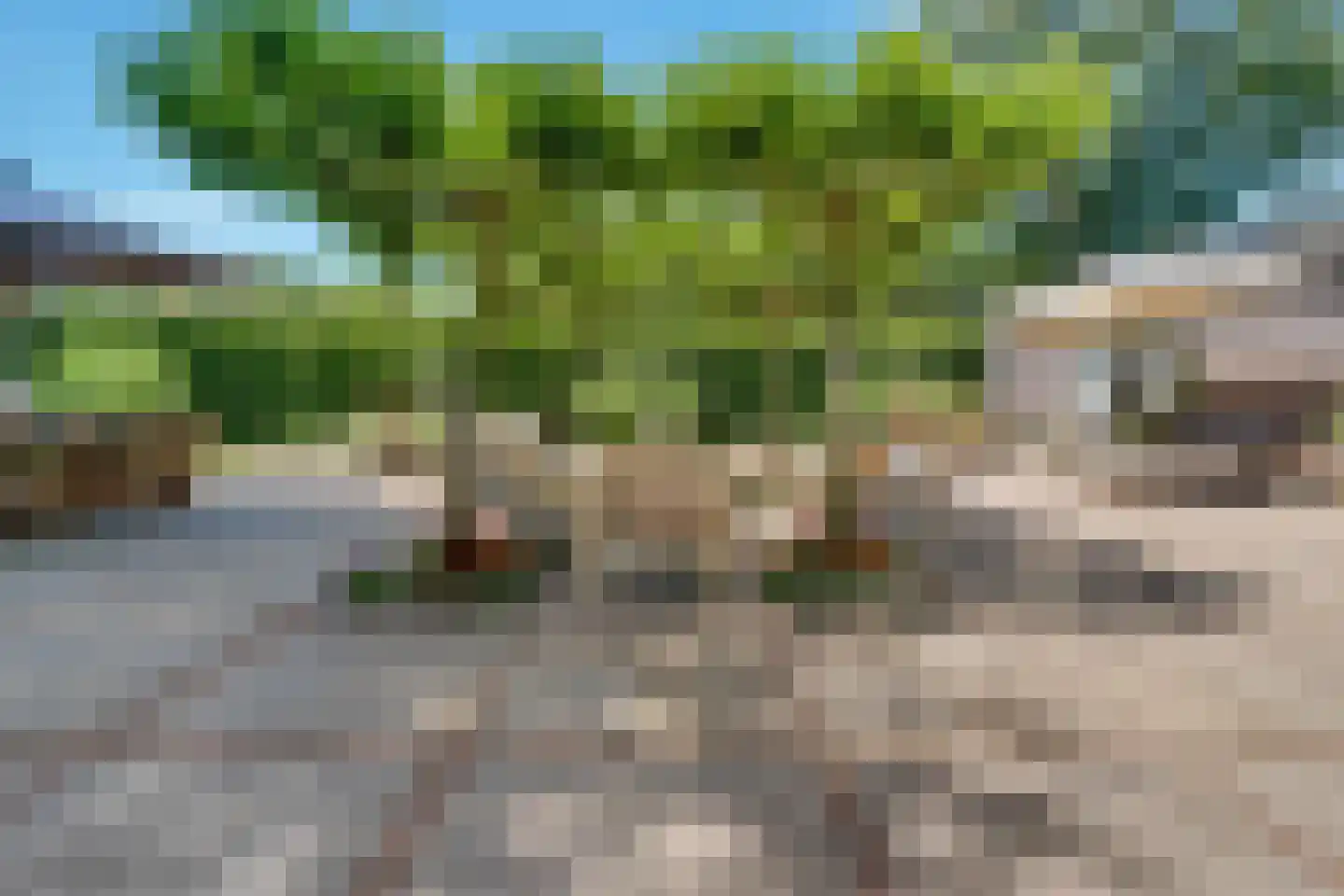 Apeldoornseweg 20 Hattem thumbnail 42