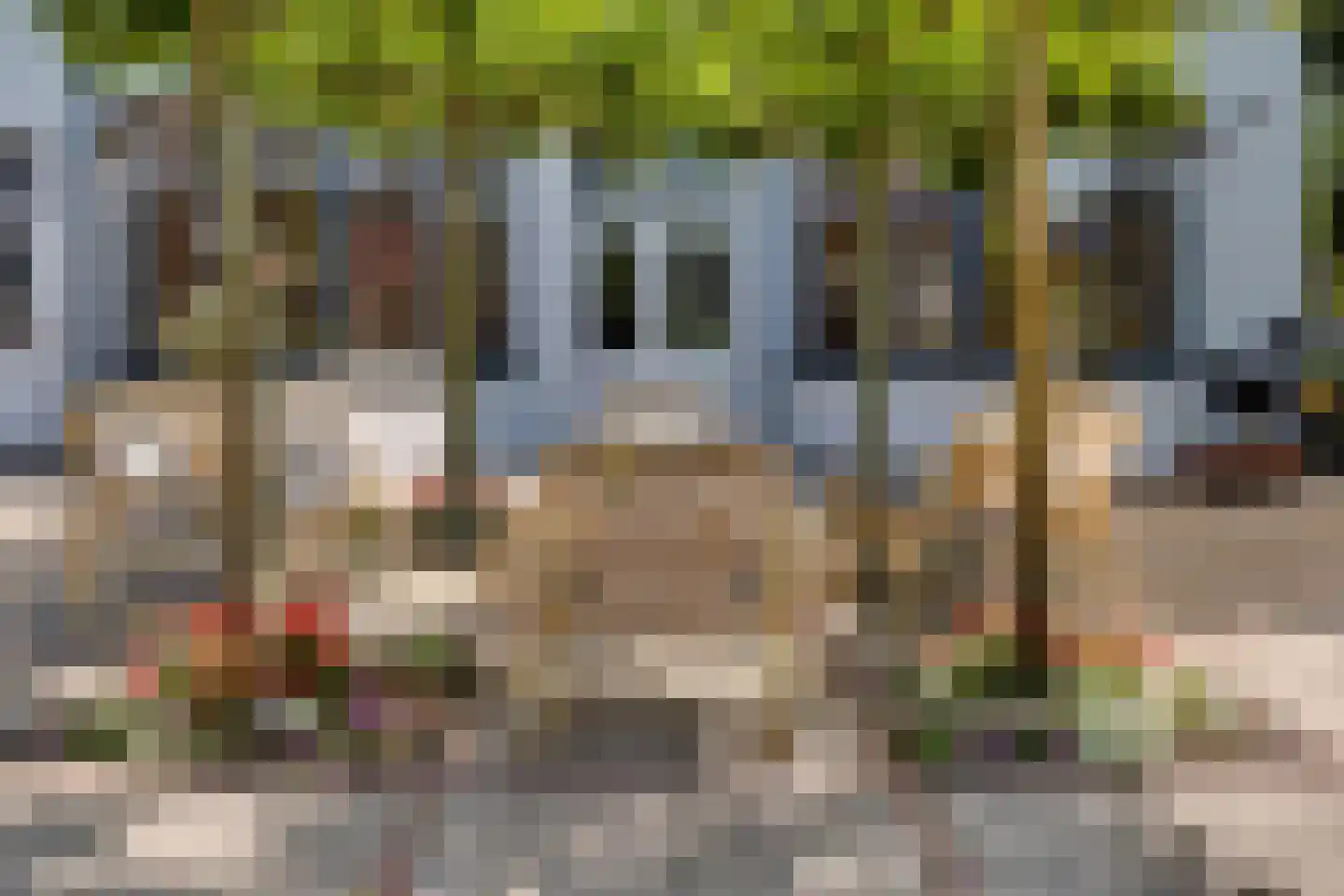 Apeldoornseweg 20 Hattem thumbnail 44