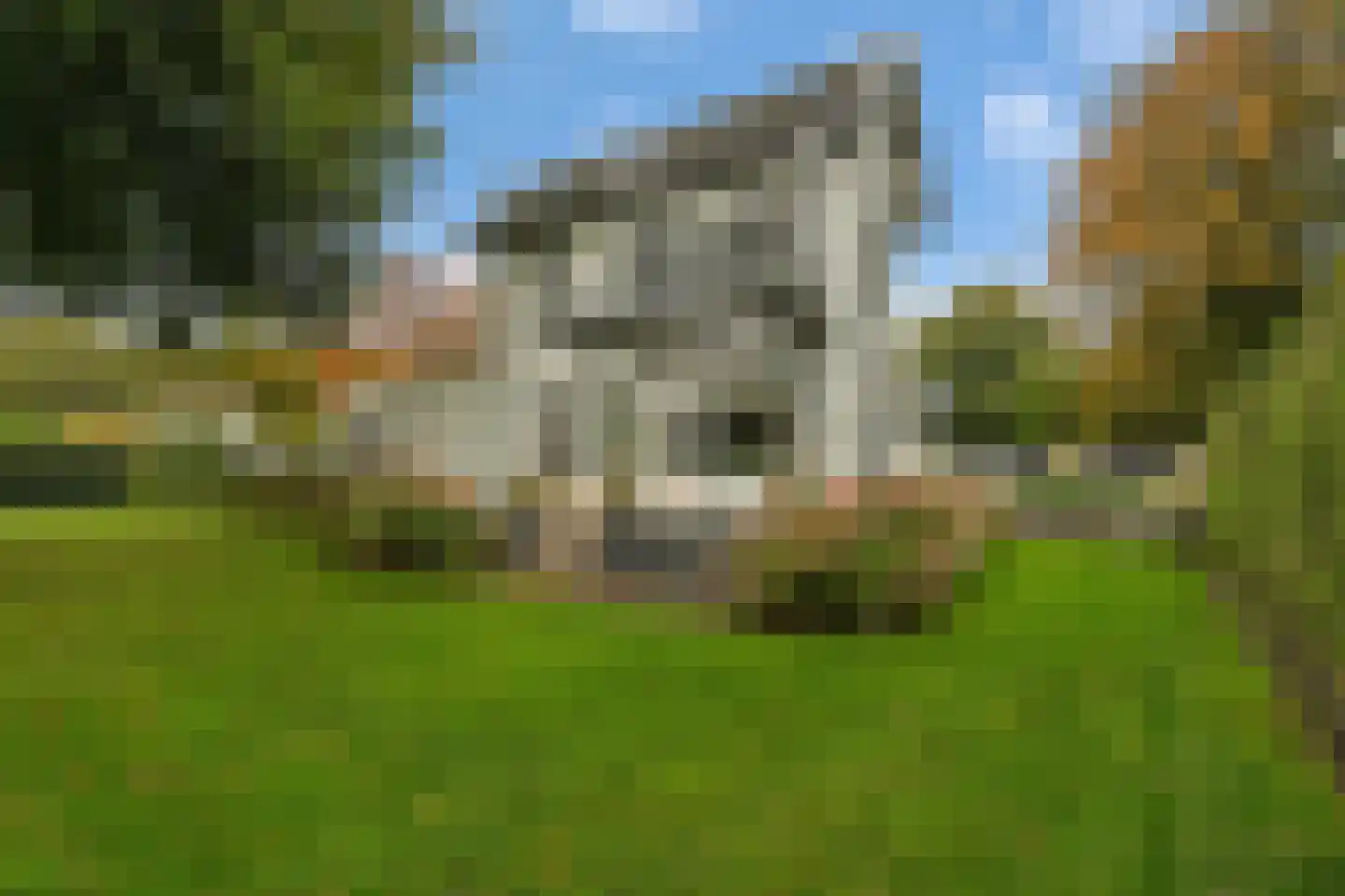 Apeldoornseweg 20 Hattem thumbnail 49