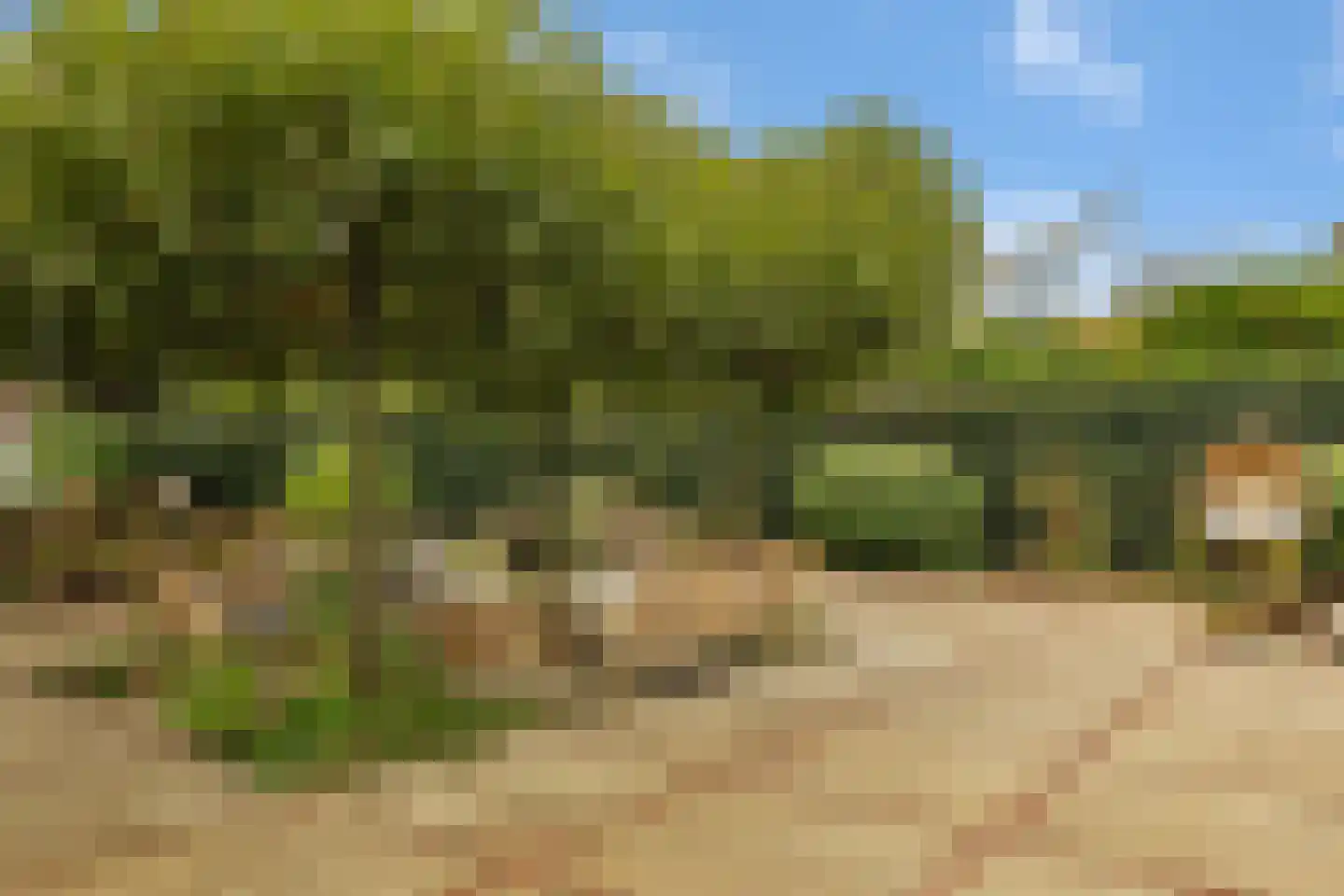 Apeldoornseweg 20 Hattem thumbnail 52