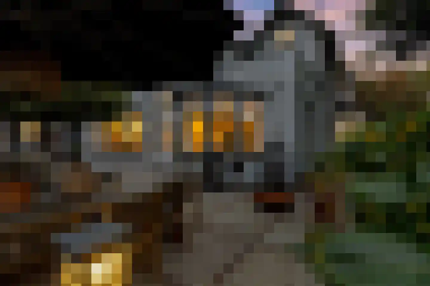 Apeldoornseweg 20 Hattem thumbnail 57