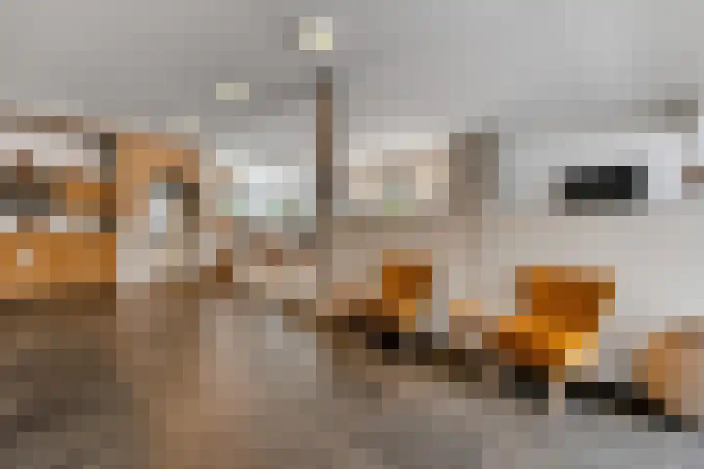 Apeldoornseweg 20 Hattem thumbnail 8
