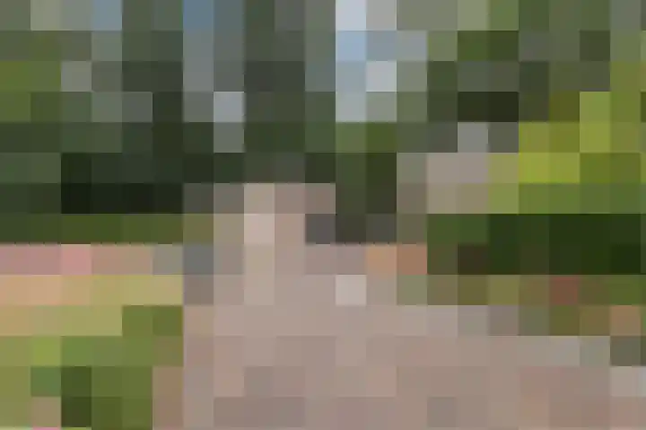 Apeldoornseweg 210 Arnhem thumbnail 60
