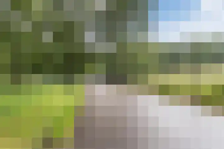 Apeldoornseweg 210 Arnhem thumbnail 62