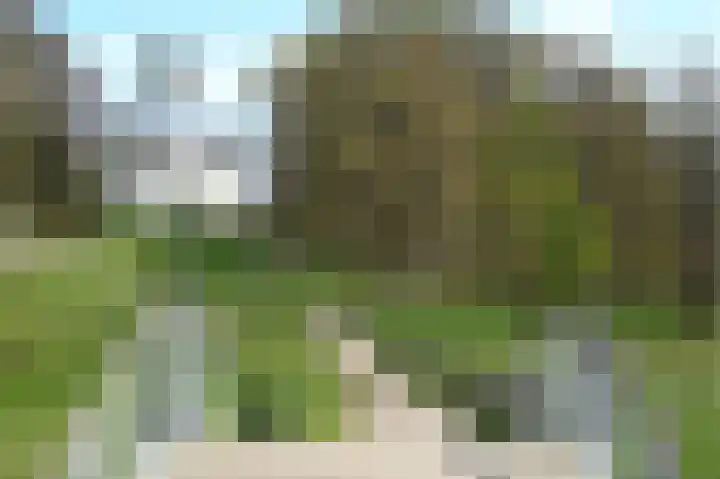 Apeldoornseweg 210 Arnhem thumbnail 65