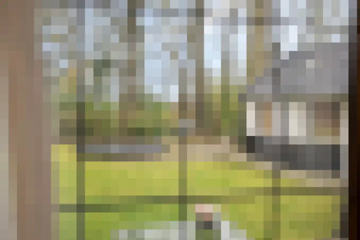 Apeldoornseweg 254 Arnhem thumbnail 12