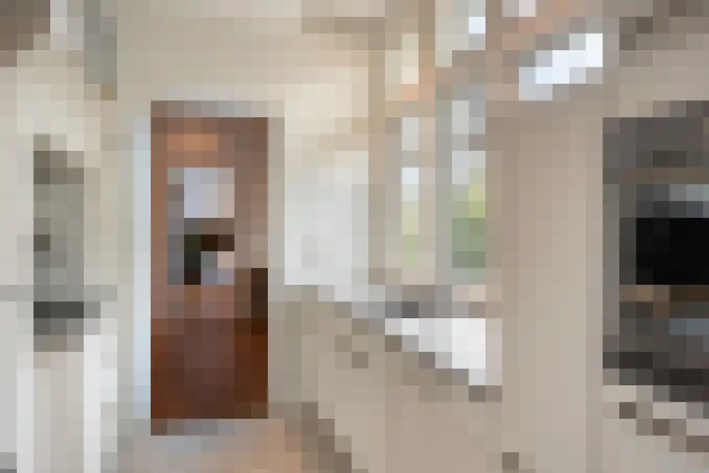 Apeldoornseweg 254 Arnhem thumbnail 17