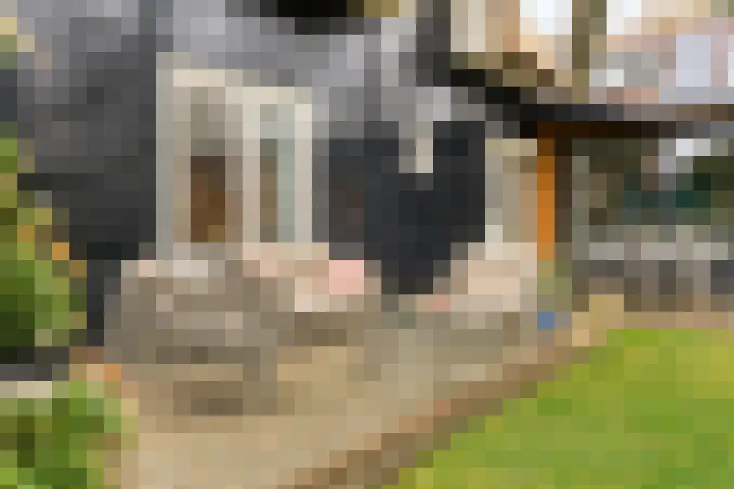 Apeldoornseweg 254 Arnhem thumbnail 23