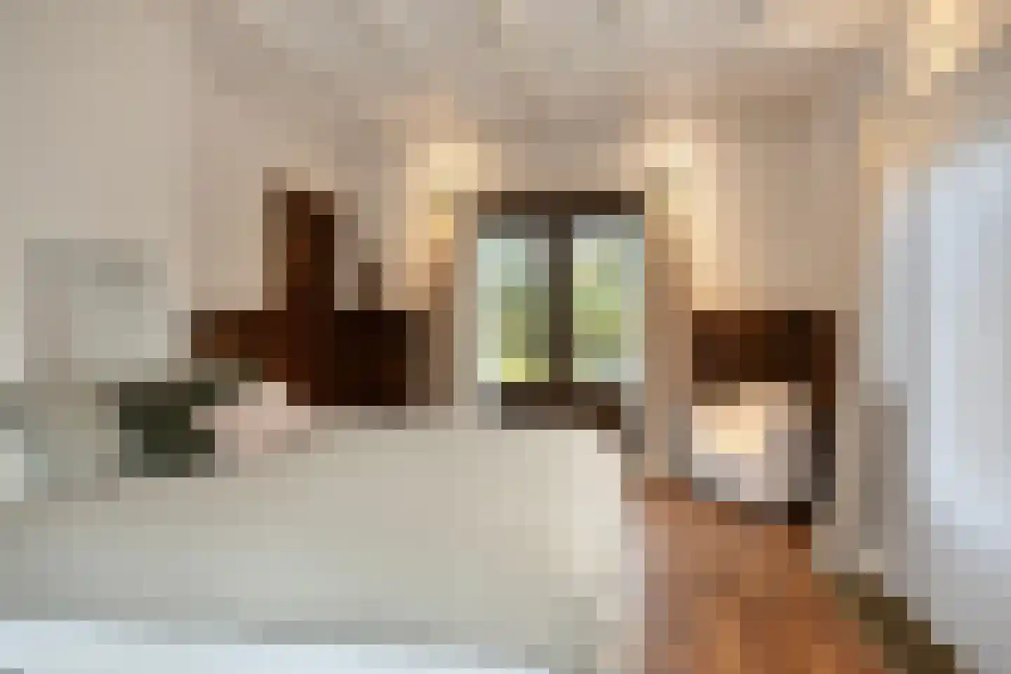 Apeldoornseweg 254 Arnhem thumbnail 27