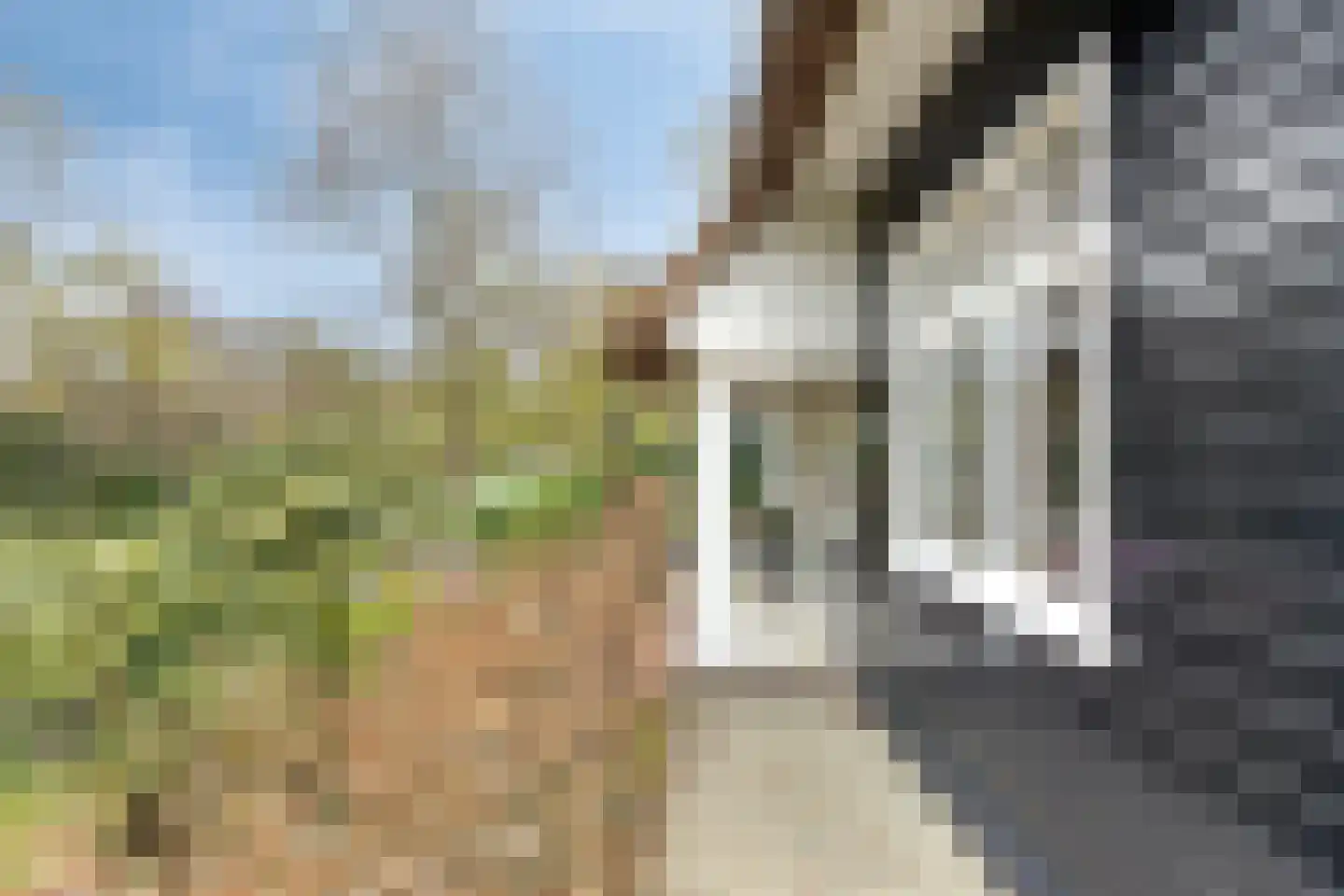 Apeldoornseweg 254 Arnhem thumbnail 59