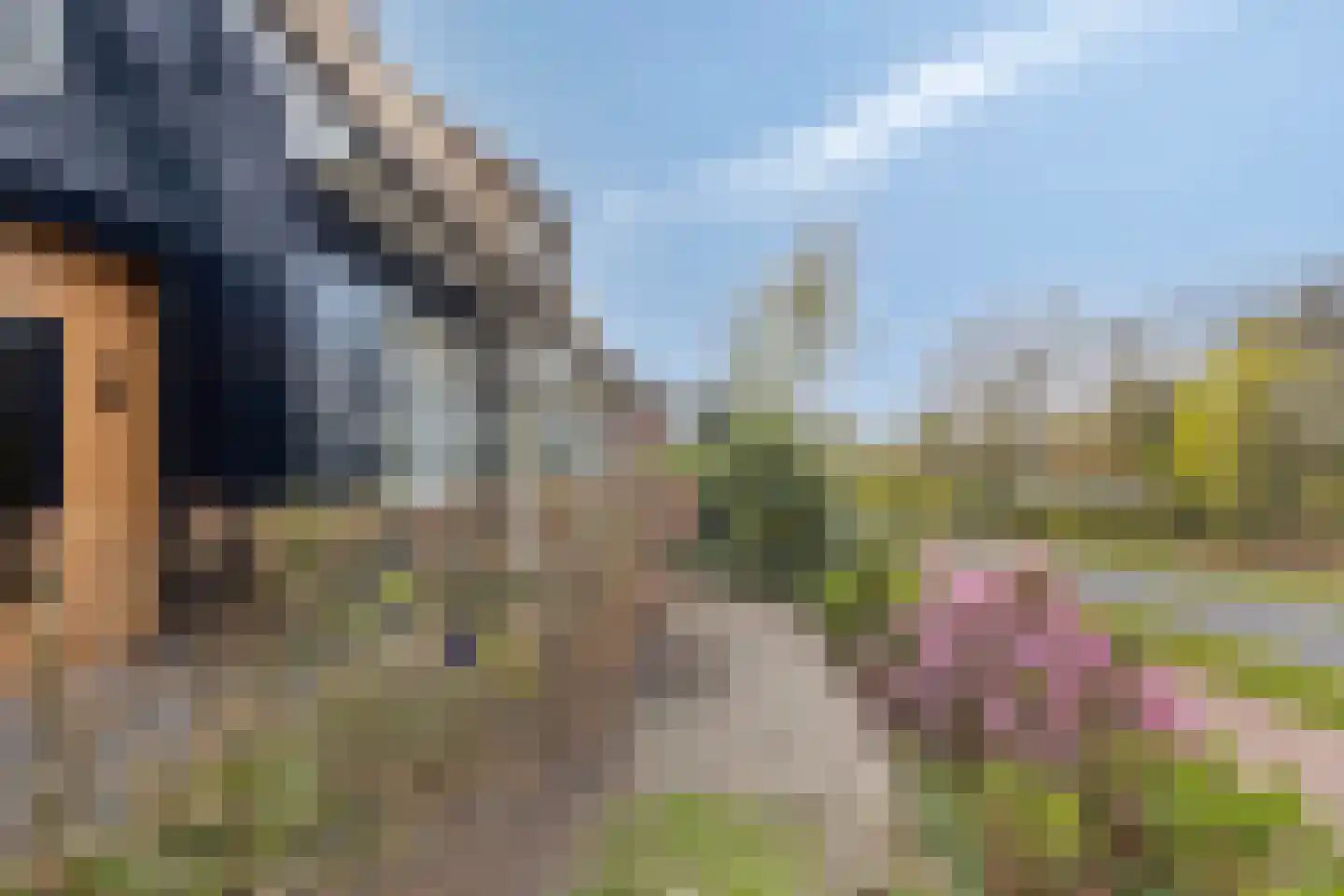 Apeldoornseweg 254 Arnhem thumbnail 60