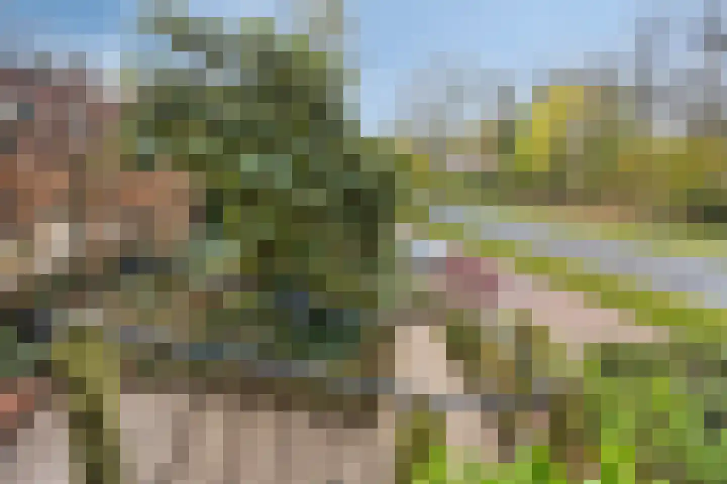 Apeldoornseweg 254 Arnhem thumbnail 62