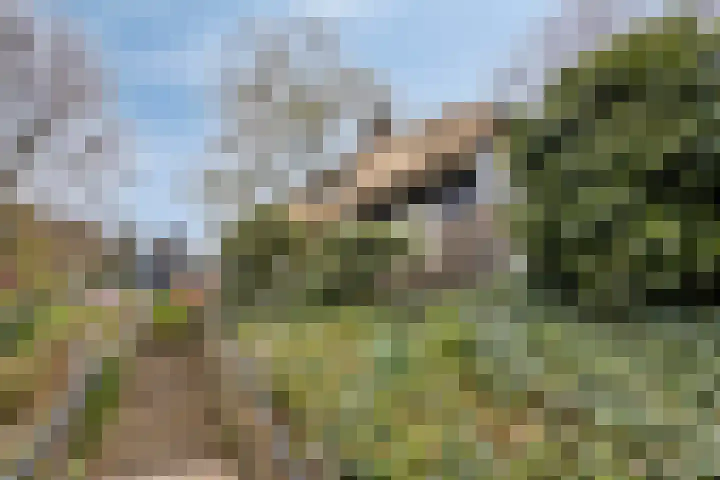 Apeldoornseweg 254 Arnhem thumbnail 64