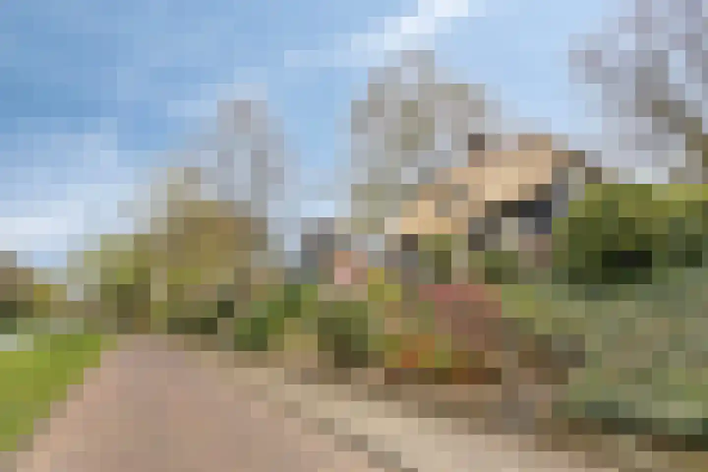Apeldoornseweg 254 Arnhem thumbnail 65