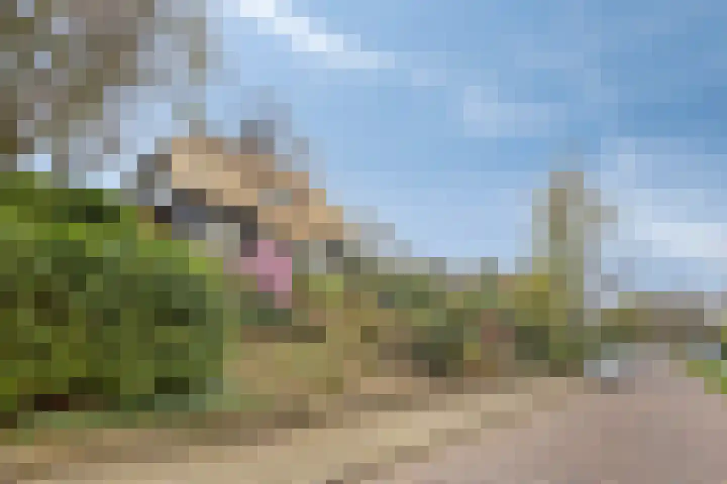 Apeldoornseweg 254 Arnhem thumbnail 66