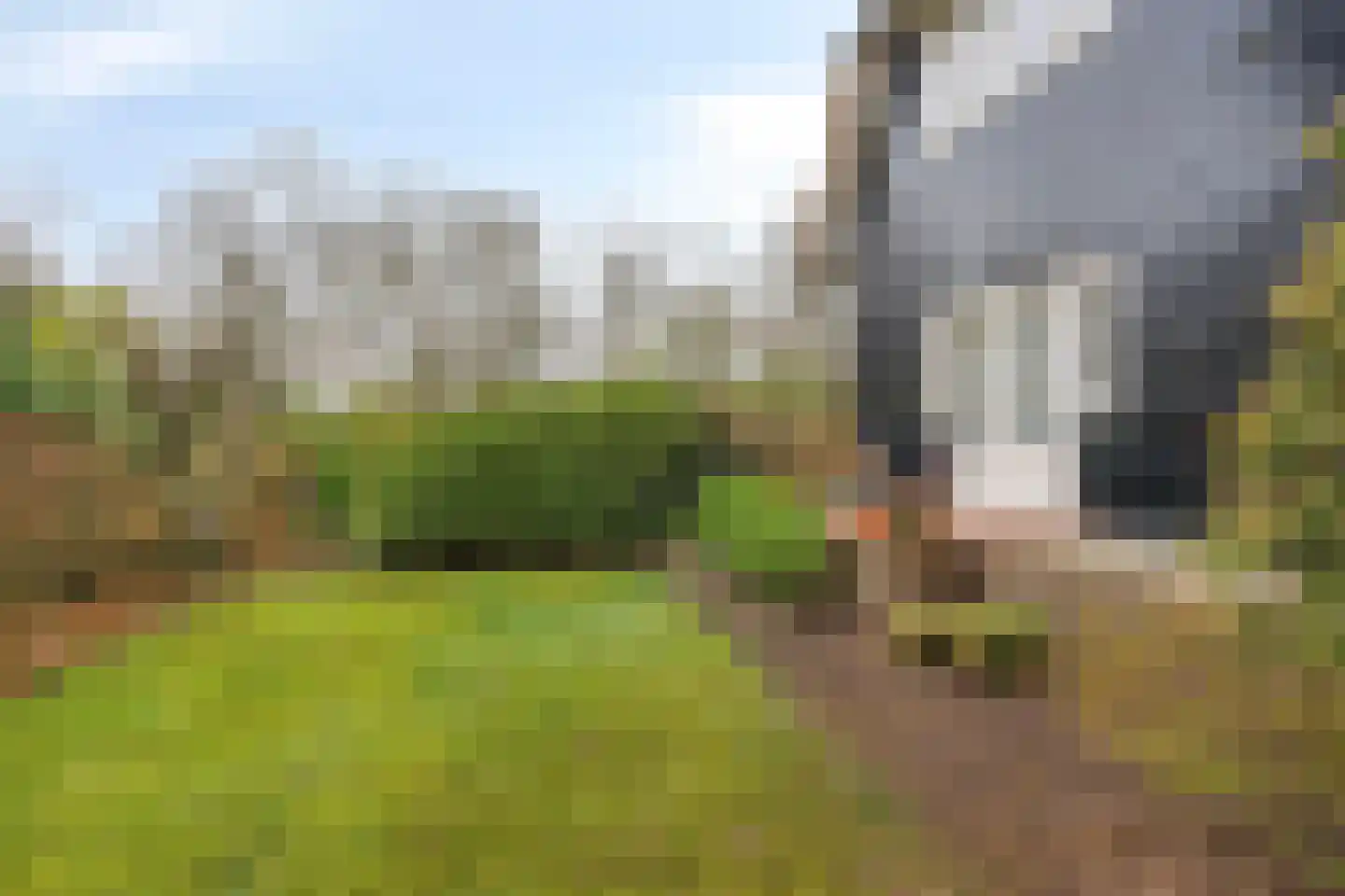 Apeldoornseweg 254 Arnhem thumbnail 68