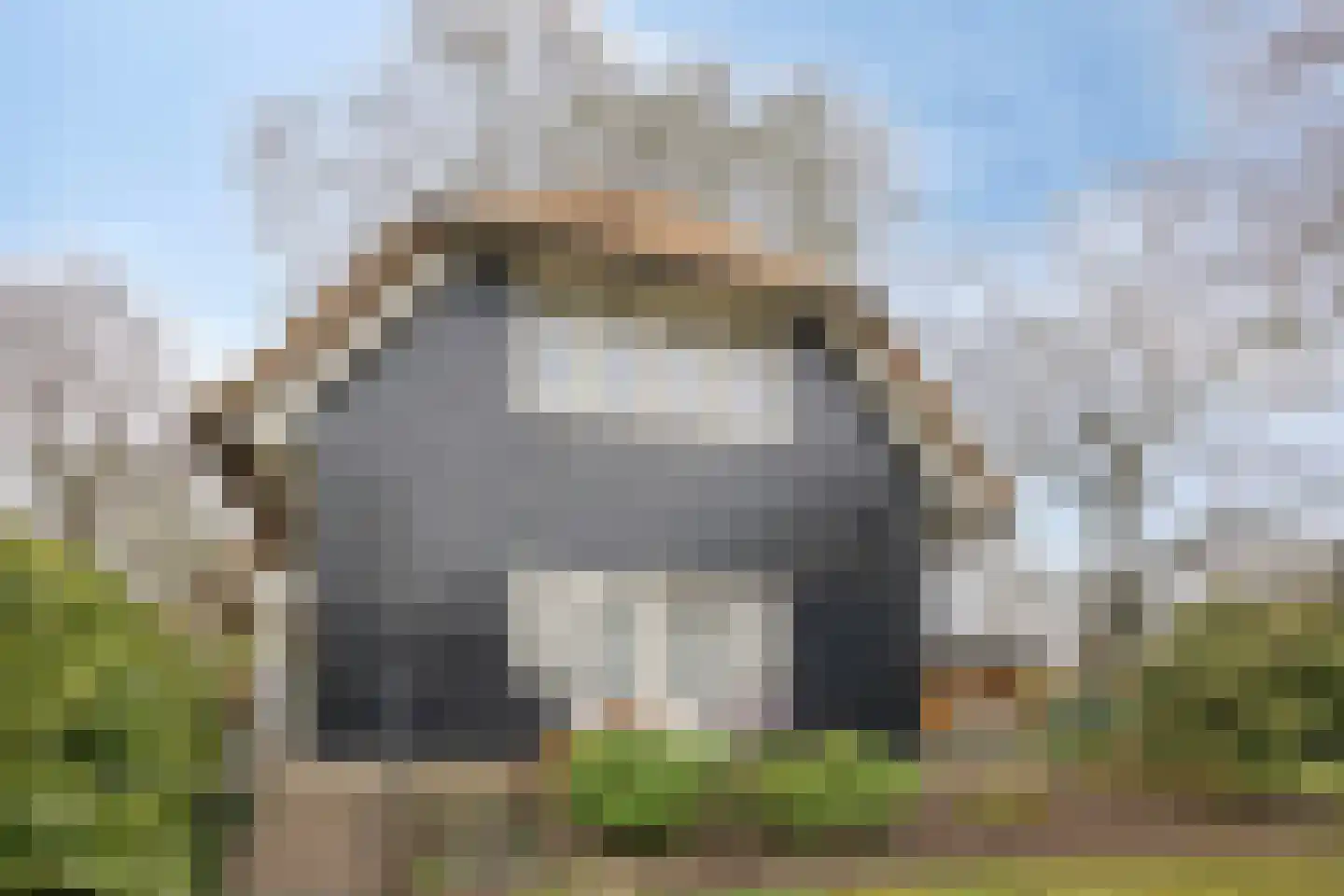 Apeldoornseweg 254 Arnhem thumbnail 69