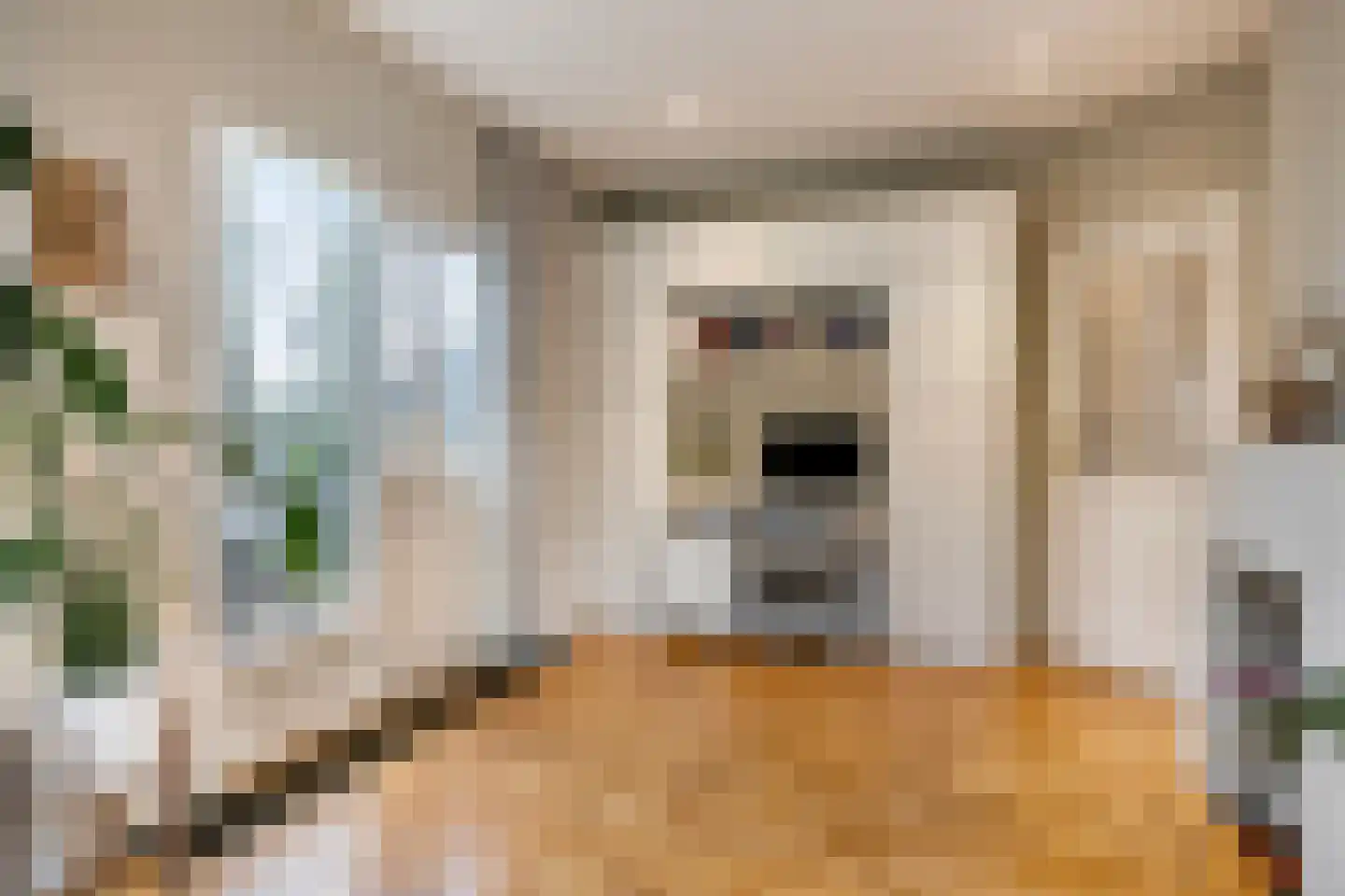 Apeldoornseweg 254 Arnhem thumbnail 7