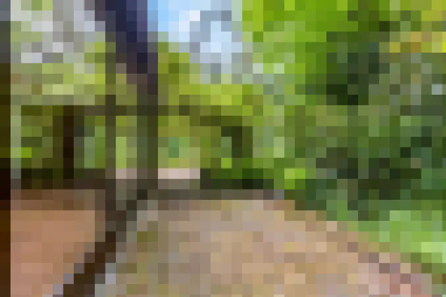Apeldoornseweg 29 Wekerom thumbnail 11
