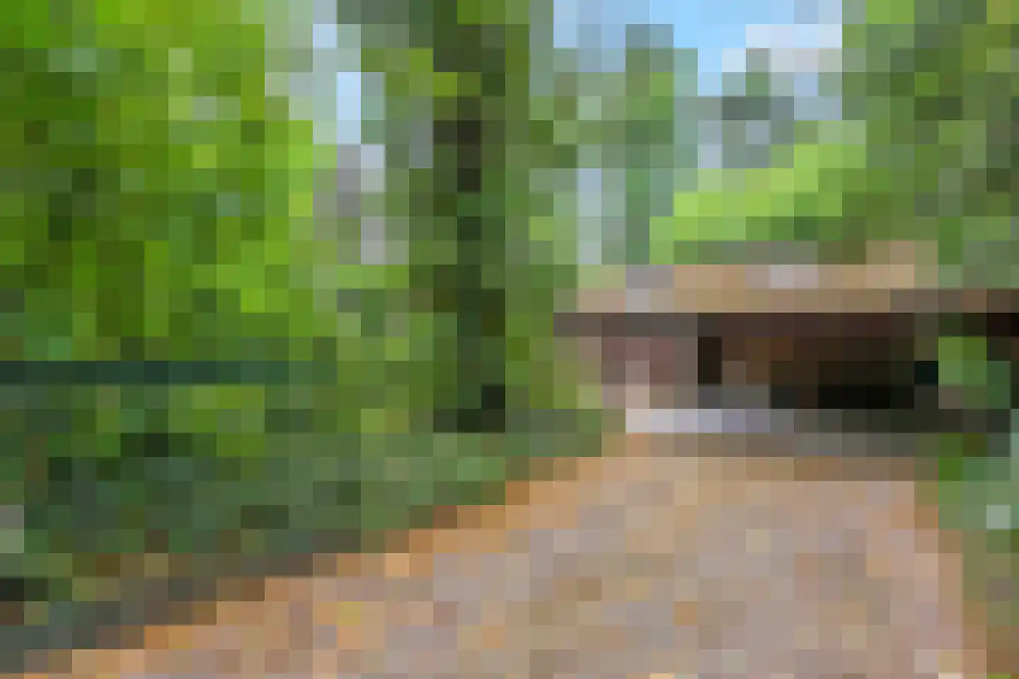 Apeldoornseweg 29 Wekerom thumbnail 28