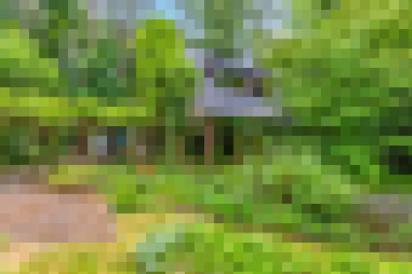 Apeldoornseweg 29 Wekerom thumbnail 31