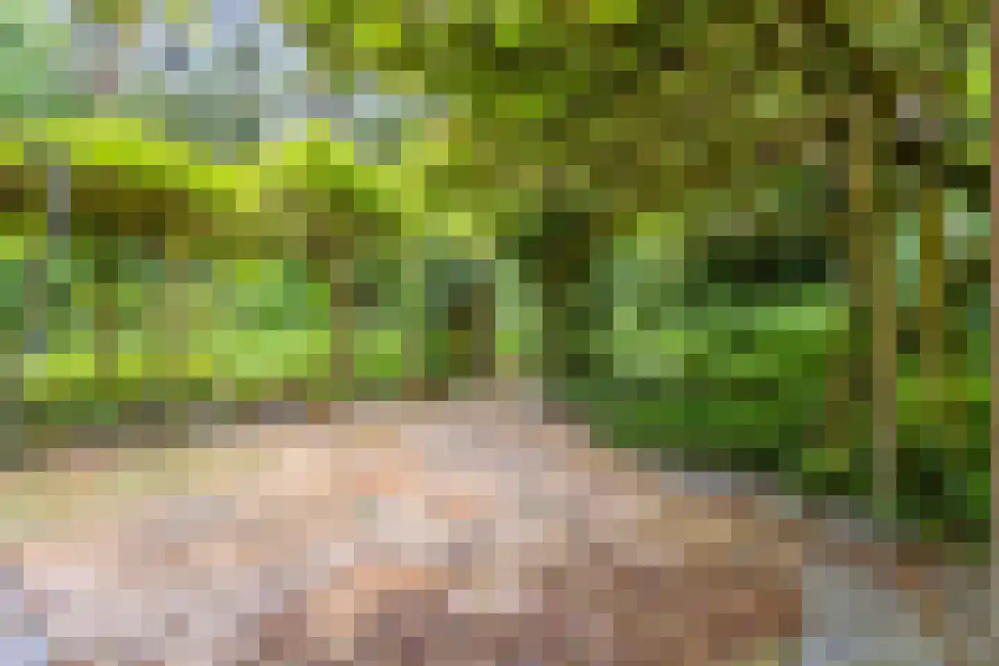 Apeldoornseweg 29 Wekerom thumbnail 32