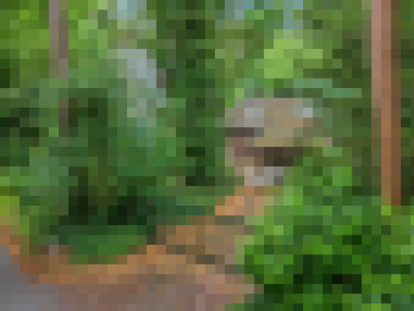 Apeldoornseweg 29 Wekerom thumbnail 4