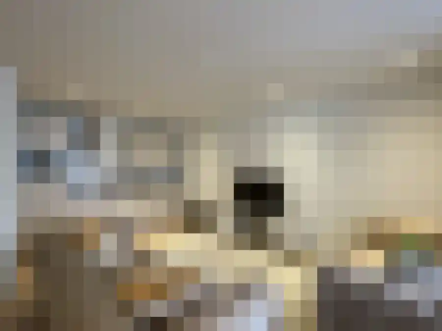 Apeldoornseweg 33 Arnhem thumbnail 5