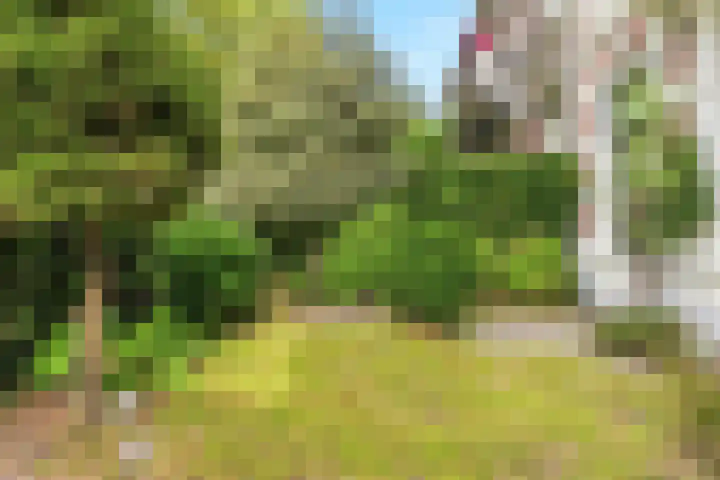 Apeldoornseweg 38 Arnhem thumbnail 12