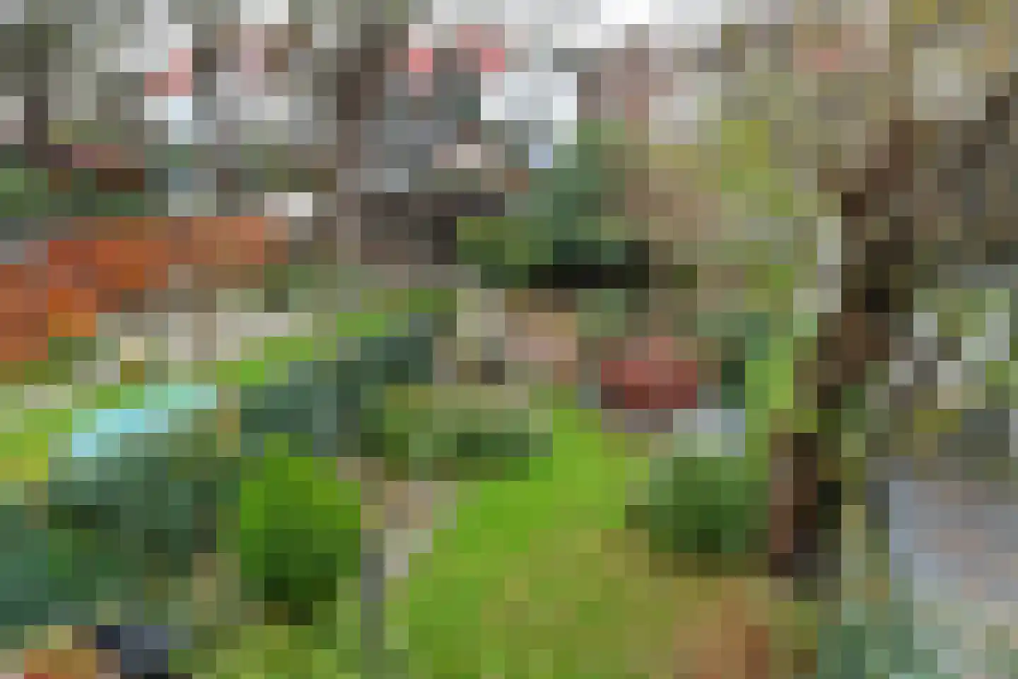 Apeldoornseweg 38 Arnhem thumbnail 29
